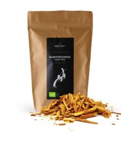 Buy Banisteriopsis caapi Red Brazil