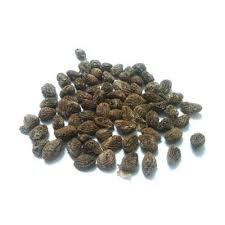 Buy Iboga seeds online