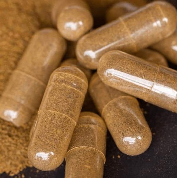 buy-iboga-capsules buy ibogaine australia,