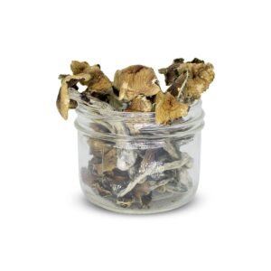 Brazilian Magic Mushrooms